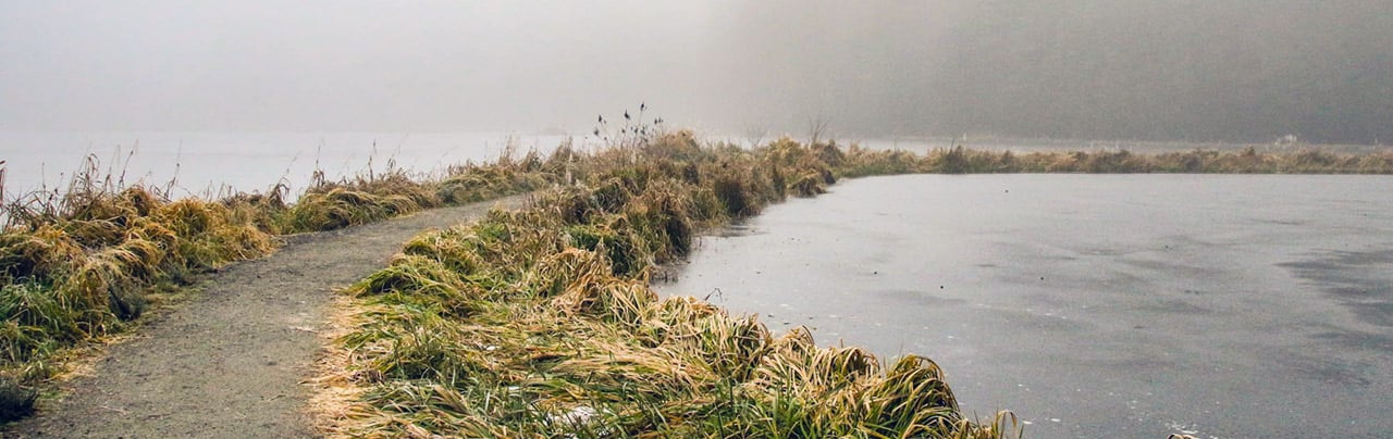 Minnekhada Regional Park Winter