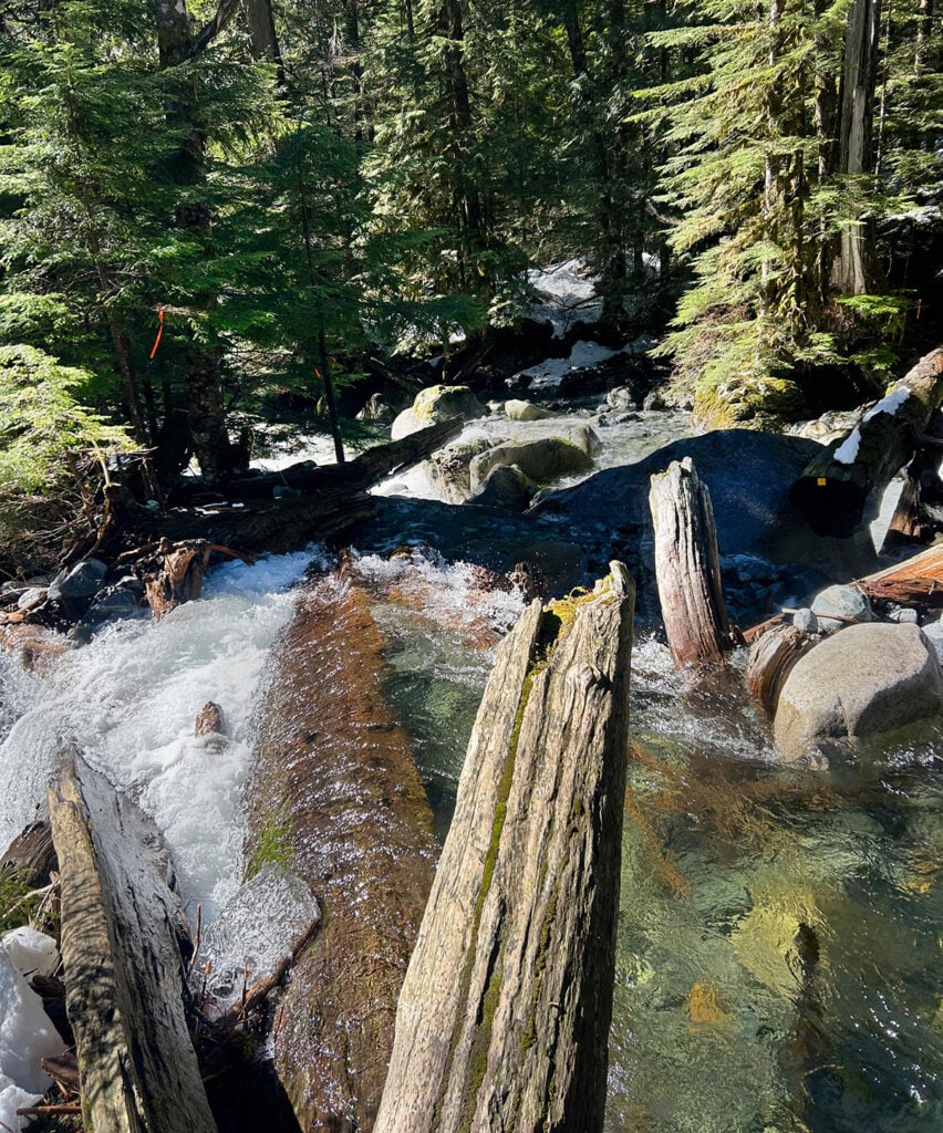 Logs across Lynn Creek along the Hanes Valley Trail