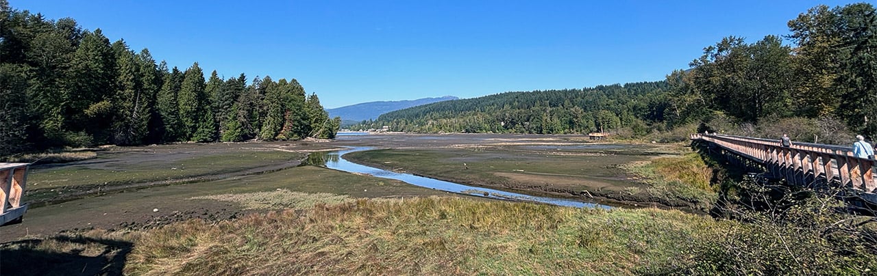Shoreline Trail Port Moody