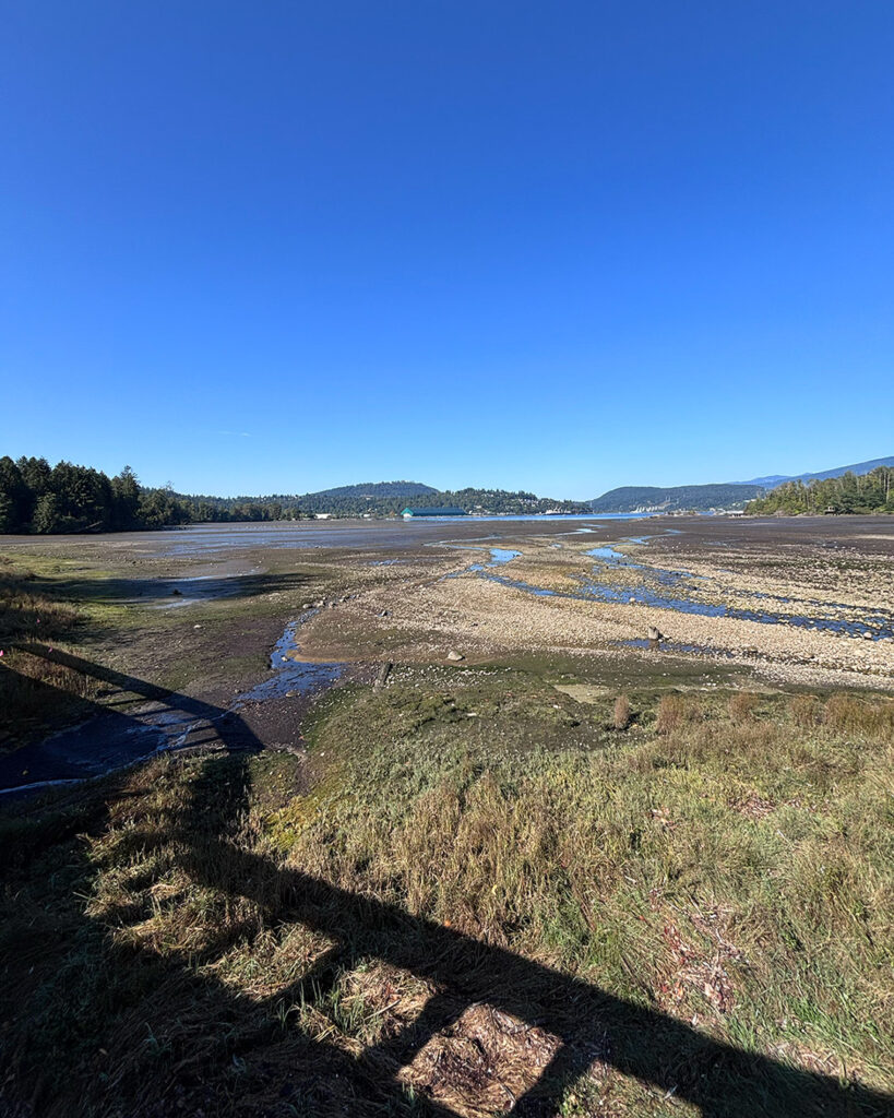 Shoreline Trail Port Moody