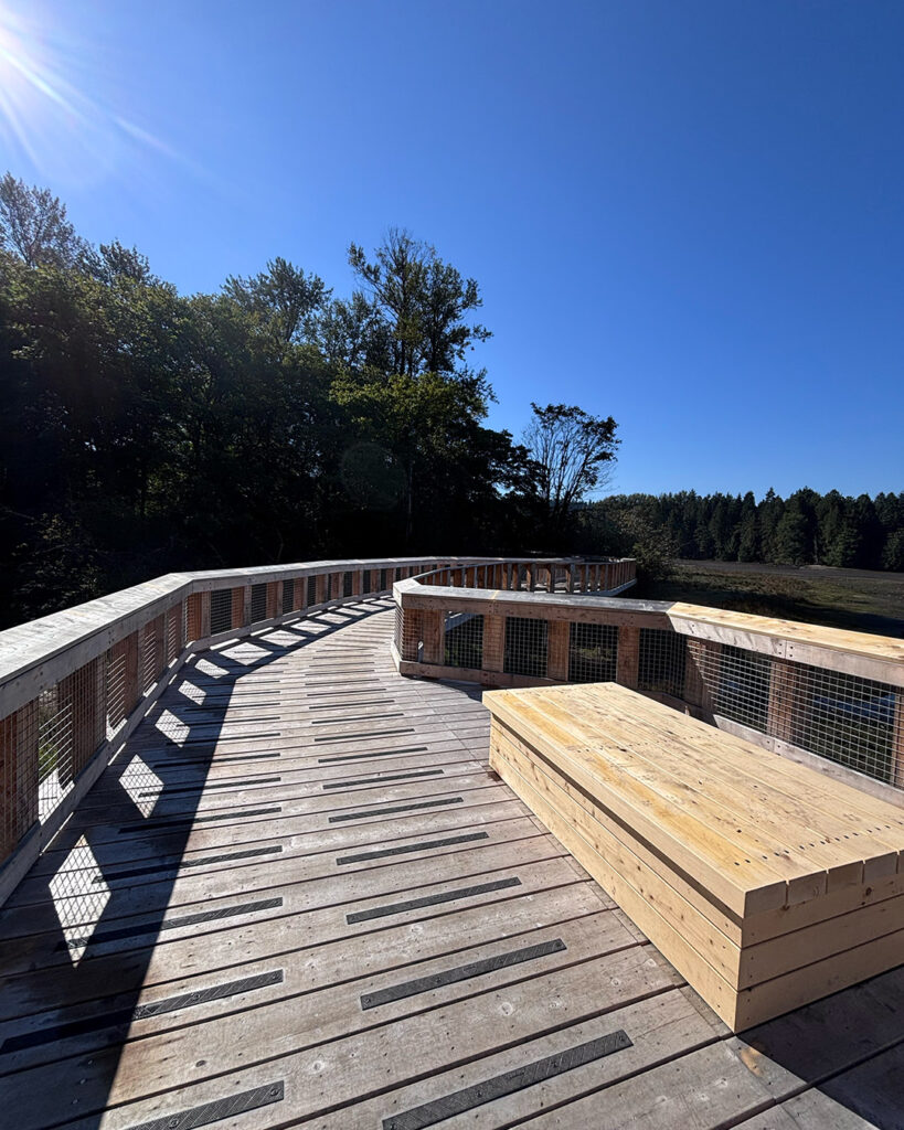 Shoreline Trail Port Moody