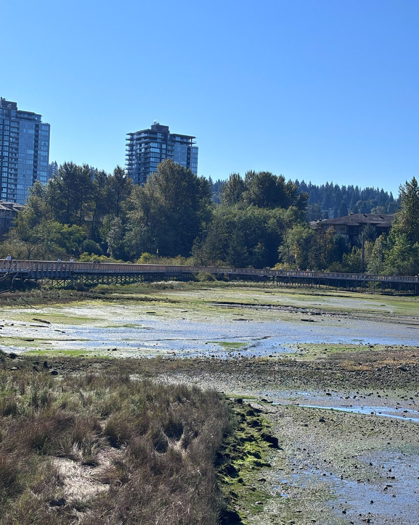 Shoreline Trail Port Moody