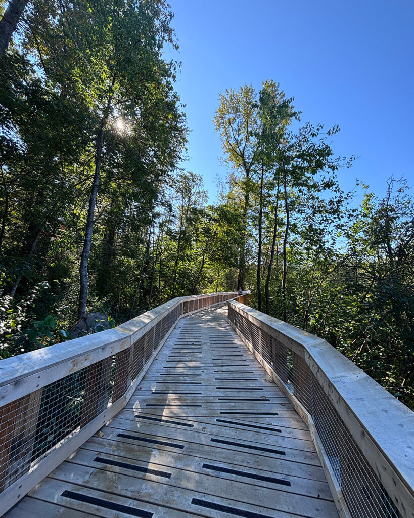 Shoreline Trail Port Moody
