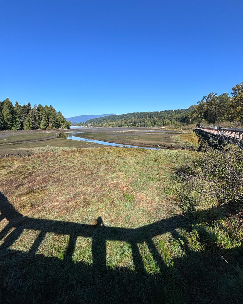 Shoreline Trail Port Moody