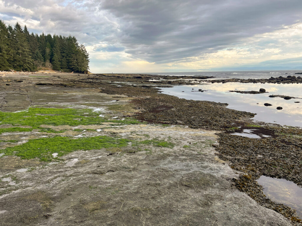 Botanical Beach near Port Renfrew, BC
