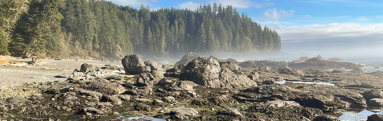Beach near Port Renfrew