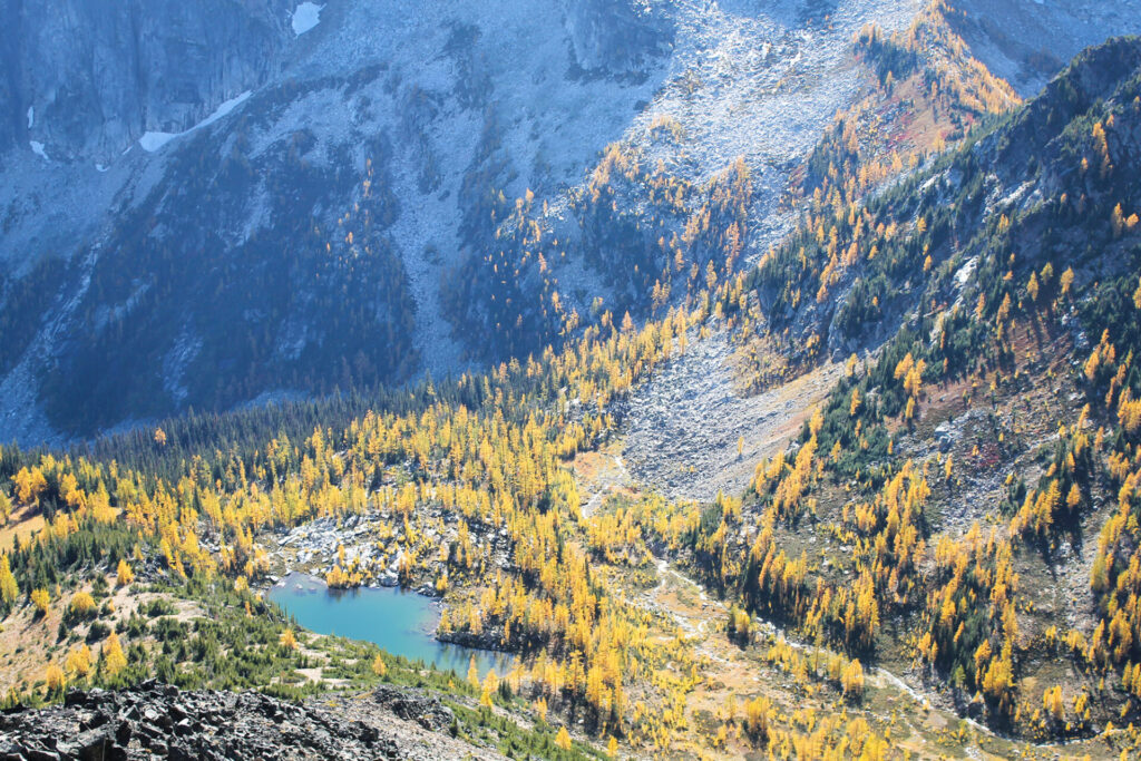 The view of golden larches from the top of Frosty Mountain