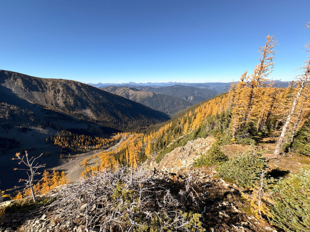 Golden larches on Frosty Mountain in Manning Park