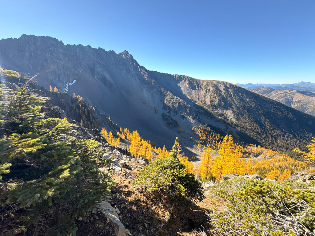 Golden Larches on Frosty Mountain in Manning Provincial Park