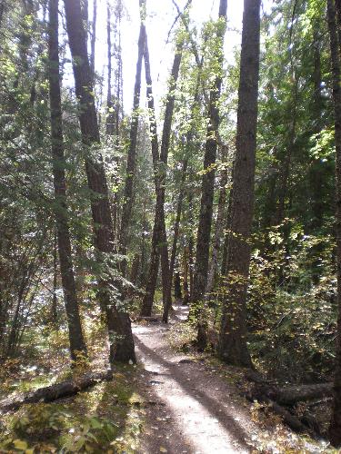 Juniper Trail