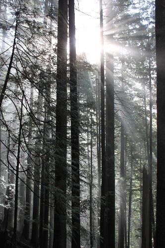 Grouse Grind