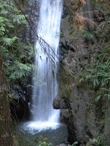 Cypress Falls