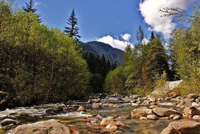 Lynn Headwaters