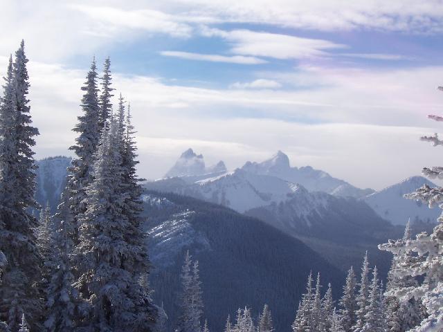 Poland Lake Trail