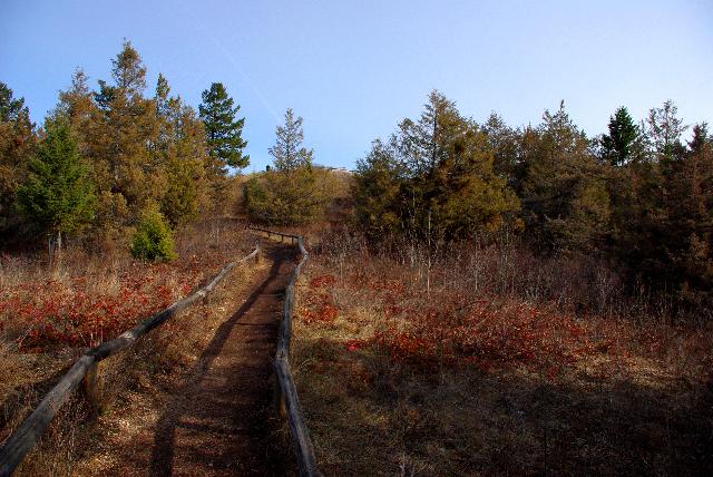 Scout Island Trail
