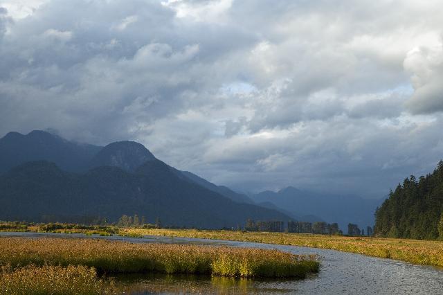 Pitt Lake