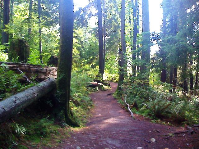 Admiralty Point Trail