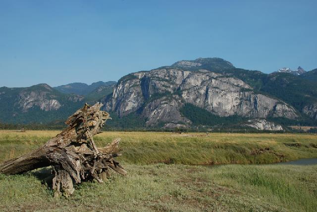 Stawamus Chief