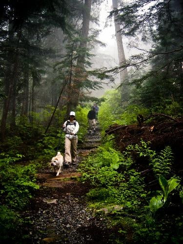 Baden Powell Trail