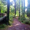Admiralty Point Trail