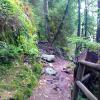 Admiralty Point Trail