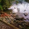 Admiralty Point Trail
