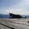 Bear mountain
