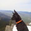 Elk Mountain