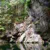 Pacific trail