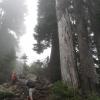 Mt. Seymour