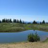 Heather Trail