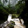 Brothers Creek Trail