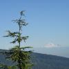 Lynn Peak