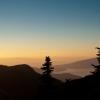 hollyburn