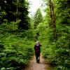 Widgeon Falls