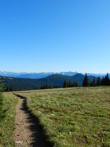 Heather Trail