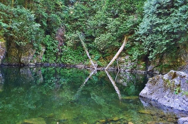 Capilano River