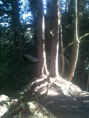 Juan De Fuca Marine Trail