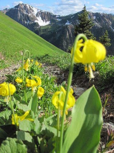 Melvin-Haylmore Divide (Twin Lakes)