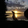 Descanso Bay