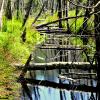 Killarney Lake