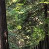 Rice Lake Loop