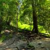 Capilano Regional Park Trail