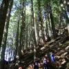 Grouse Grind