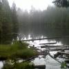 Mundy Lake - Old Logging Trail