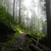 Garibaldi Lake Trail