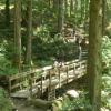 Baden Powell Trail