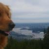 Cypress Mountain