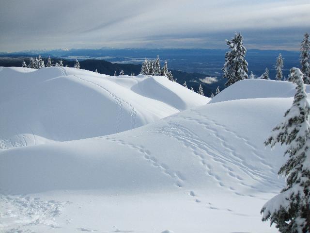 Mt Seymour (First Pump Peak)