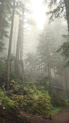 Garibaldi Lake Trail